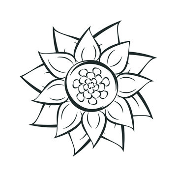 Spring sunflower icon.