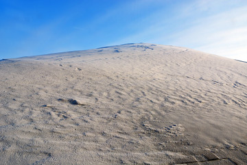 Winter landscape