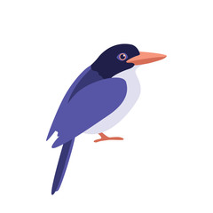 kingfisher bird vector illustration style Flat