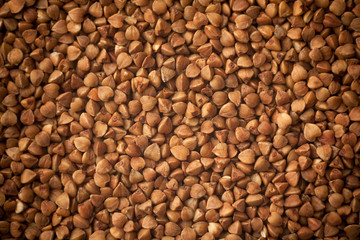 buckwheat, closeup studio shot