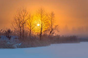 Fototapeta na wymiar Winter scene with coastline of snowy river, reeds and trees at dawn.