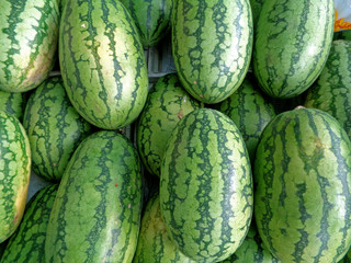 Heap of bright green and dark green stripes rind oval shape ripe Watermelons 