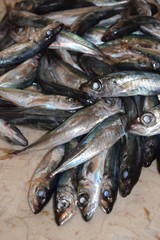 Sardinen, Ein Berg frischer Sardinen auf dem Fischmarkt