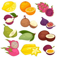 Tropical fruits set. Lemon, orange, pitaya, carambola, coconut, fig, avocado,