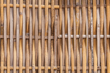 bamboo closeup