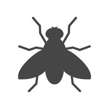 Fly icon - vector Illustration