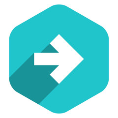 Arrow Sign Hexagon Icon Flat Style