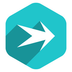 Arrow Sign Hexagon Icon Flat Style