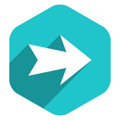 Arrow Sign Hexagon Icon Flat Style