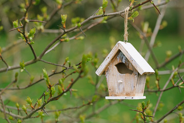 Little Birdhouse in Spring new leaves