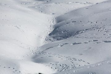 Obraz premium in the winter snow mountains and trees.