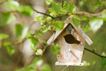 Little Birdhouse in Spring new leaves