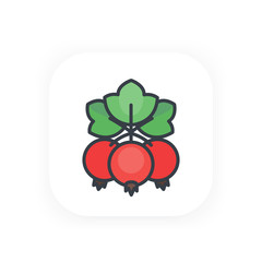 red currant vector icon