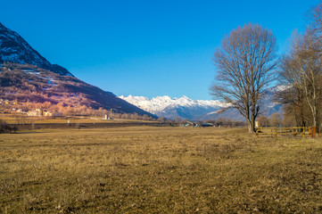 mountain panorama, walk in the forest with trees © mashiro2004