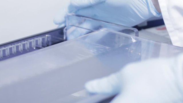 Biologie Labor Verschlie&szlig;en der Gelelekreophorese