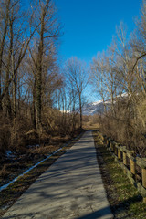 Fototapeta premium mountain panorama, walk in the forest with trees