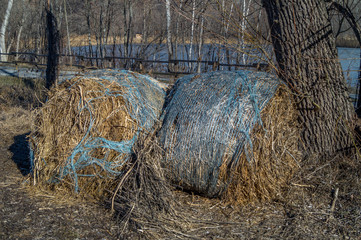 mountain panorama, with frozen lake, trees and forest