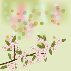 Beautiful spring flowers collection. Vector drown isolated cherry blossom. Template for invitation, wedding, greeting card or print. Spring floral design.