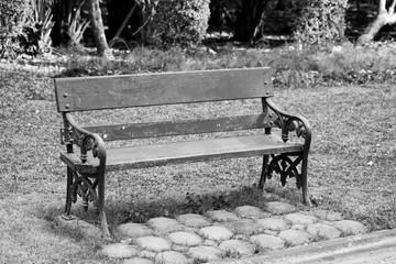 single chair in public park in black and white,lonely concept