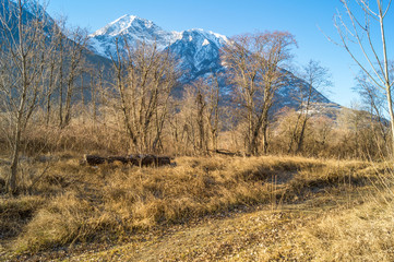 mountain panorama, walk in the forest with trees
