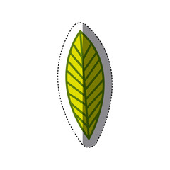 leaves icon image stock, vector illustration design