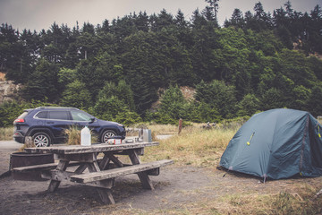 Camping on Gold Bluffs Beach Campground, United States California