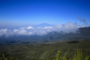 キリマンジャロから見るメルー山