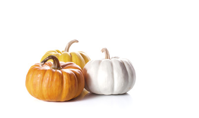 pumpkins close up isolated on white..