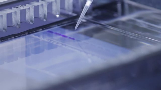 Pipettieren in Taschen