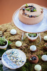 Wedding cakes desserts and sweets in the candy bar