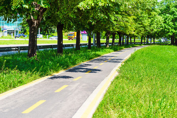 City landscape. Bicycle road in the city park. Sign showing bike path