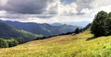 Obraz premium Picture