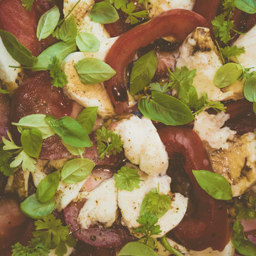 Tomate, Mozzarella, Basilikum, Petersilie