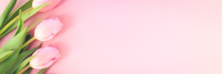 Fototapeta premium Pink tulips on the pink background. Flat lay, top view. Valentines background.