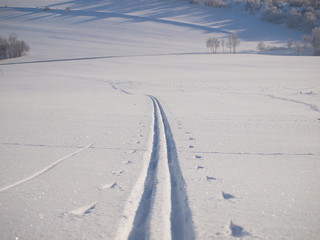 Winterlandschaft