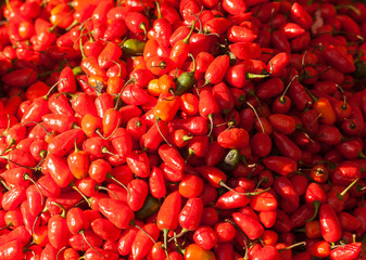Red chili peppers