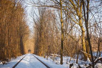 The real natural wonder - love tunnel created from trees along the railway in Ukraine, Klevan. Winter sunset snow on the rails