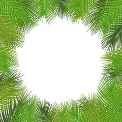 Vector tropical frame. Palm leaves illustration, with a place for text.Vector.