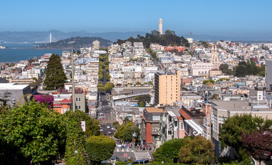 Obraz premium Panoramic view of the streets of San Francisco and Coit Tower, California 