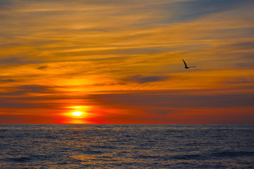 Sonnenuntergang Meer 