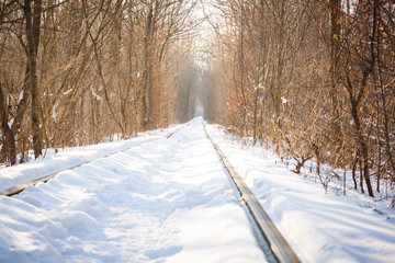 The real natural wonder - love tunnel created from trees along the railway in Ukraine, Klevan. Winter sunset snow on the rails