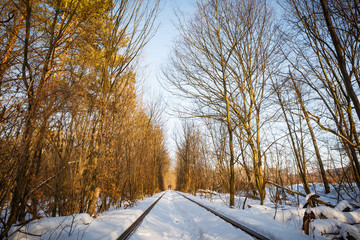 The real natural wonder - love tunnel created from trees along the railway in Ukraine, Klevan. Winter sunset snow on the rails