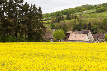 Plakat Giverny, France - MAY 9, 2016: Canola field with village Giverny in background at Giverny, France, Giverny is a village west of Paris. It's known as the place where painter Claude Monet lived. 