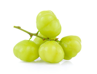 star gooseberry on white background