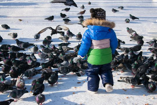 Little boy winter running after pigeons