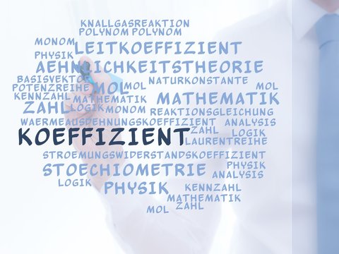 Koeffizient