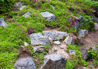 Grey stones in the green garden