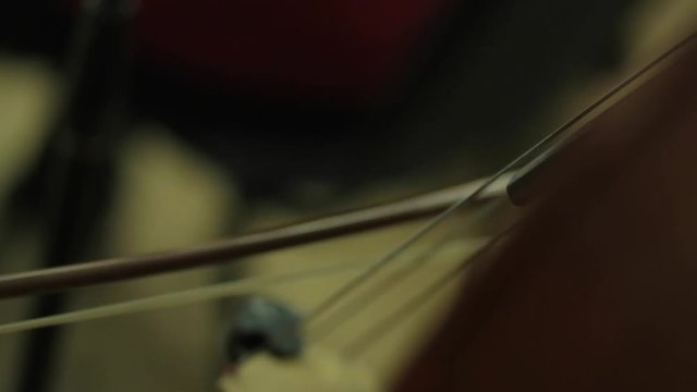 Playing the cello with a bow - stringed musical instrument.