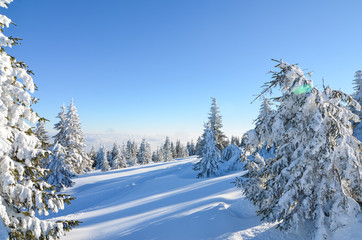background, beautiful, blue, cloud, cold, europe, fir, fog, forest, frost, holiday, ice, landscape, mountain, nature, outdoor, season, ski, sky, snow, snowy, sun, sunny, sunset, transylvania, travel, 