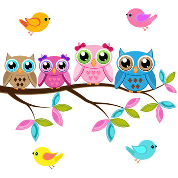 Four owls on a branch with birds